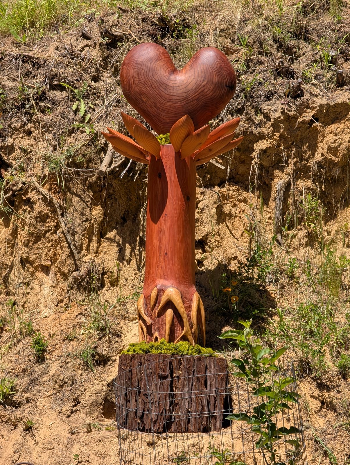 A heart carved from redwood